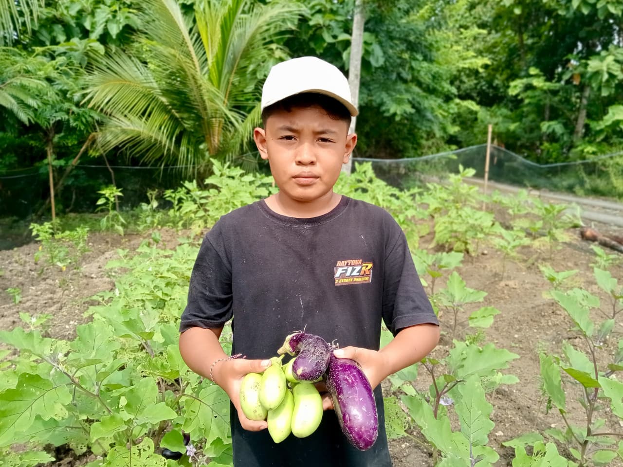 Edukasi Pertanian, Santri TPQ Ngadirejo Wonogiri Panen Terung di Lahan Demplot